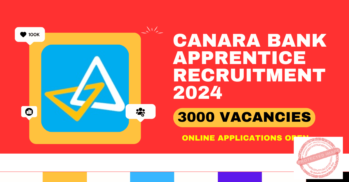 Canara Bank Apprentice Recruitment 2024