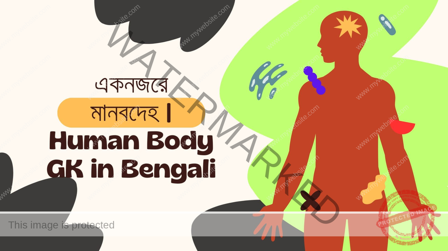 একনজরে মানবদেহ PDF | Human Body GK in Bengali